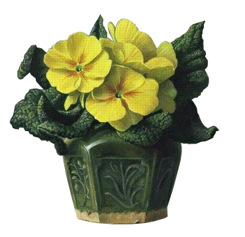 Vase fleur